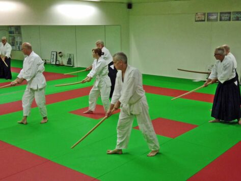 Training mit dem Holzschwert BOKKEN