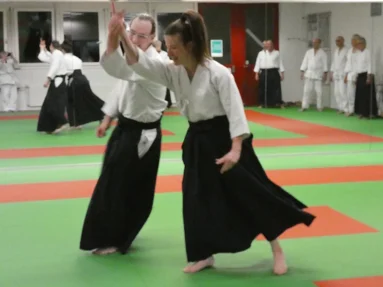 Aikido Training